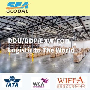 China to Germany LCL Sea DDP Door-to-Door Bulk Cargo LCL Freight Forwarder