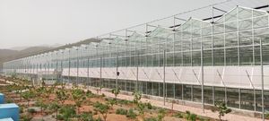 Cost-Effective Multi-Span Polycarbonate Glass Greenhouse for Commercial Farm Strawberry Vegetable Cultivation