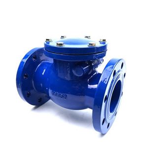 4-Inch DN100 Ductile Iron One-Way Flange Non-Return Swing Check Valve for Industrial