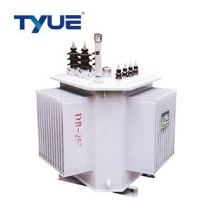 S13 10kv Oil-Immersed Distribution Power Transformer