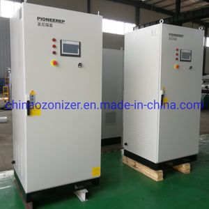 200-300g Oxgen Source Ozone Generator for Waste Water, Drainage, Drinking Water Treatment