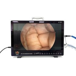 Sy-PS050 Hospital Medical Equipment 1080 HD Endoscopy System Endoscope Camera