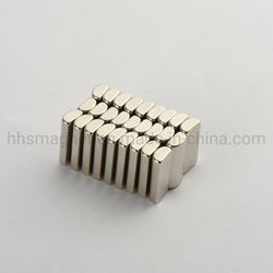 Special Shape Neodymium Rare Earth Magnet NdFeB Permanent Magnet