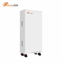 Felicityess Exceptional 48V 300ah LiFePO4 Battery for Optimal Performance in Solar Energy Storage