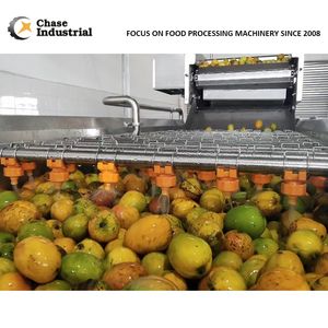 Mango Juice Manufacturing Processing Line