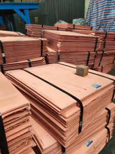 Copper Price of Bronze Per Kg Copper Plate 99.9% Pure Copper Sheet