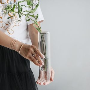 Transparent Glass Vase Hydroponic Plant Flower Vase Double Wall Test Tube Glass Vase