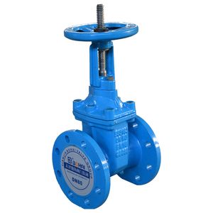 Industry Gate Valve with Rising Resilient Seat