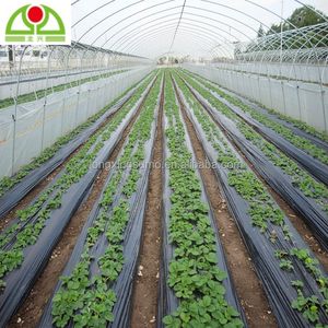 Agriculture PE Anti-UV Mulch Film Black Ground Cover Sheet