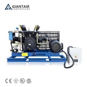 High Pressure 30bar 40bar Screw Air Compressor with Booster for Pet Bottle Blowing Industry