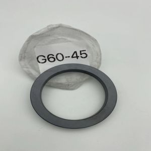 Stationary Ring G60  Seals Ring  SIC Ring  Carbon Ring  for  All Kinds of  Mechanical  Seals