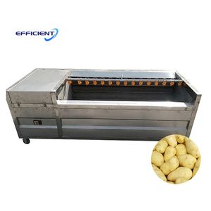 New Vegetable Automatic Sweet Cassava Cleaning Ginger Washer Potato Peeling and Washing Machine