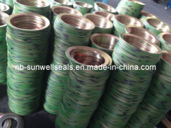 Premium Spiral Wound Gasket Inner and Outer Ring Set
