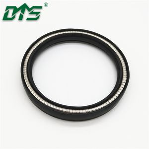 Hydraulic Spring Loaded Energized PTFE Seal Rotary Shaft Seal/V Type