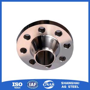 Balanced Stress Stainless Steel Forged Flange for Industrial Boiler Inlet