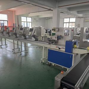 Zs-300g Automatic Cartoon Game Cards Flow-Type Card Packaging Machine