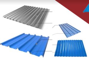 PPGI/HDG/Gi Dx51 Zinc Cold Rolled/Hot Dipped Galvanized Steel Coil/Sheet/Plate/Strip