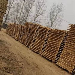 Finger Jointed Edge Glued Paulownia Plywood Panels Boards, Timber, Planks, Beams, Paulownia Lining Boards, Paulownia Siding, Paulownia Boards for Casket Coffin