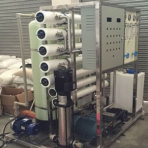 Well Water Filtration Reverse Osmosis Water Treatment Purified Water Equipment for Biopharmaceuticals