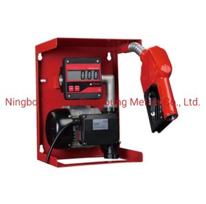 AC 220V Diesel Fuel Transfer Pump Set with Digital Metering