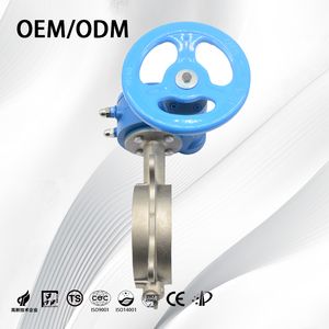 SS304/SS316L ANSI Customizable Actuated Flange Electric Wafer Butterfly Valve for Food Processing