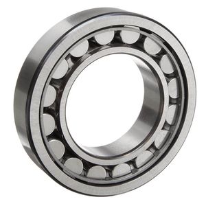 Single Row Cylindrical Roller Bearing N/Nj304 305 306 307 308 309ecj for Heavy Duty Electric Motor