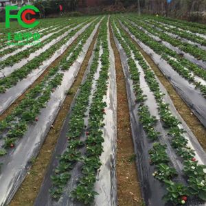 Mulch Films Biodegradable Mulch Film
