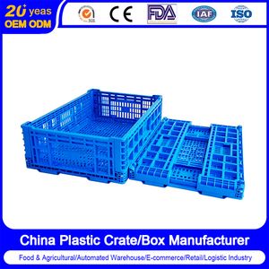 Agriculture Collapsible Container Folding Storage Box Fruits Vegetable Fruits Foldable Collapsible Plastic Pallet Fruits Container
