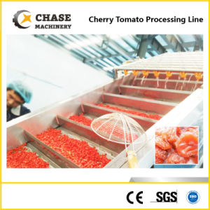 Fruit and Vegetable Freezing Processing Machine Line From Shanghai Chase