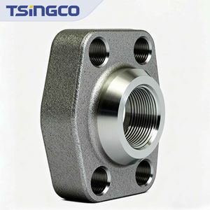 SAE Blanking Flange in Carbon Steel for J518 Standard