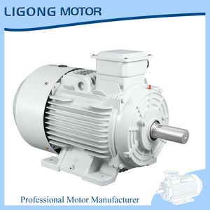 Ye5-80m1-2 0.75kw 2855rpm 2-Pole Ultra-High Efficiency Three-Phase Asynchronous Motor