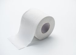 2024 Whole Sale Toilet Tissue Paper