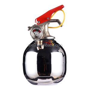 0.25kg Stainless Steel Fire Extinguisher Home Vase Small Fire Extinguisher 0.25L