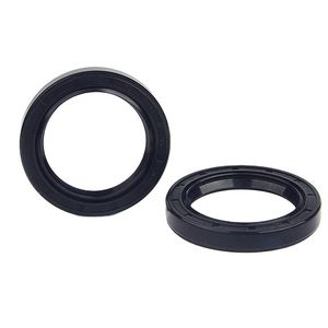 Hydraulic Oil Seal Tc Oil Seal in NBR Material