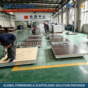 Lianggong Steel Huennebeck Trio Frami Framax Xlife Rasto Wall Column Formwork for Construction Concrete
