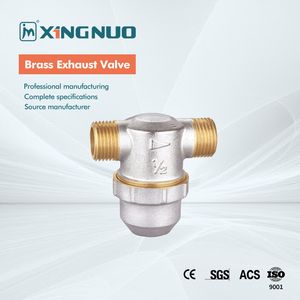 Brass Forged Brass Filter with Nickel Plating FT1006