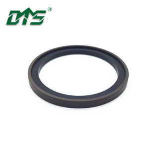 Spg Bronze PTFE and NBR Rubber Ring Double Acting Piston Seals
