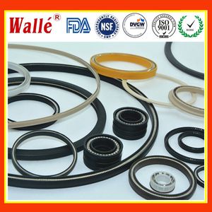 Variseal PTFE Spring Seals