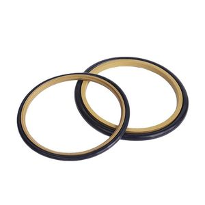 Hbts /Bsj PTFE with O Ring Rod Seal Step Seal with Best Quality