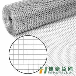 Hot Dipped Galvanized Wire Mesh/Welded Wire Mesh for Fencing