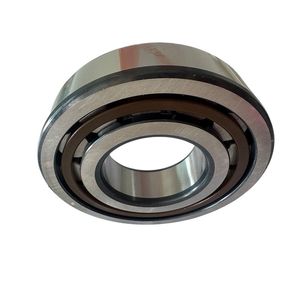 Factory Cylindrical Roller Bearing Nup305 306 307 2207 2307ecp/Ecph for Gearboxes