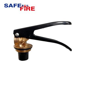 Indian Market Valve Brass Valve Check Valve for ABC Fire Extinguisher