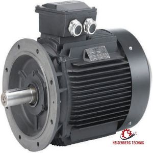 Hoyer Electric Motors Hma2 71 1 4p B3 Ie2/4pol Marine-2104071-0.25-010101