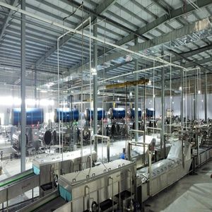 Complete Automatic Corn Processing System with Maize Cleaning and Packaging Machines
