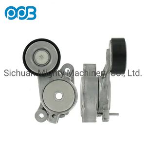 Car Parts Engine Belt Tensioner Pulley for Audi OEM 03c145299m