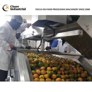 Mango Pulp Juice Processing Line