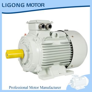 Ie3 Ie4 Ie5 Three-Phase Asynchronous Motor 380V B3 Mounting for Packaging Machinery
