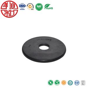 Customizable ISO 9001 Quality Gasket with 15 Workdays Delivery Time