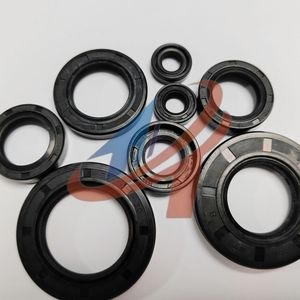 High-Performance NBR Sc Tc Skeleton Oil Seal Black Brown Red Double Lip Single