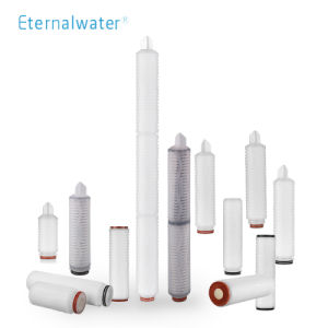 Microporous Pleated Pes (Polyether sulfone) Filter Cartridge with Fin End Caps